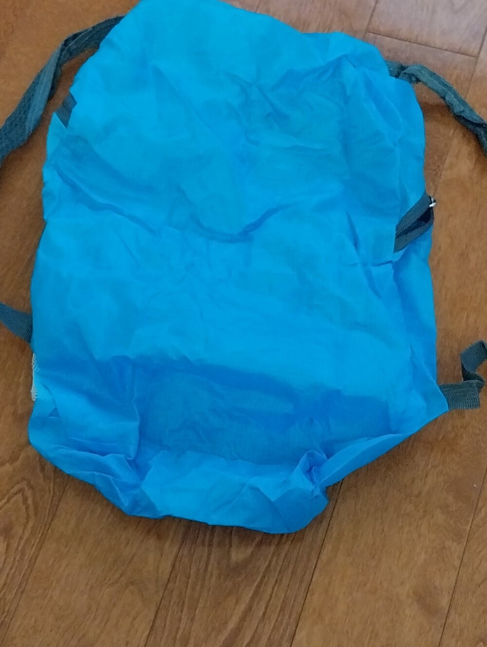 ๐ฆ๐ฑ Mini Packable Backpack - Picture 3 of 6
